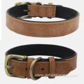 Hot Selling Classic Super Fiber Luxury Dog Collar